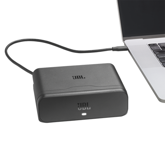 JBL Battery 600 with Charging Case - Black - An easy-to-replace spare battery with charging case - Detailshot 1 image number null