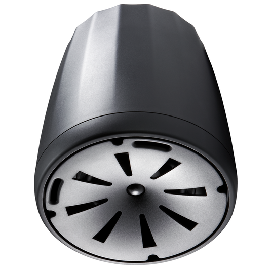 JBL Control 65P/T | Compact Full-Range Pendant Speaker