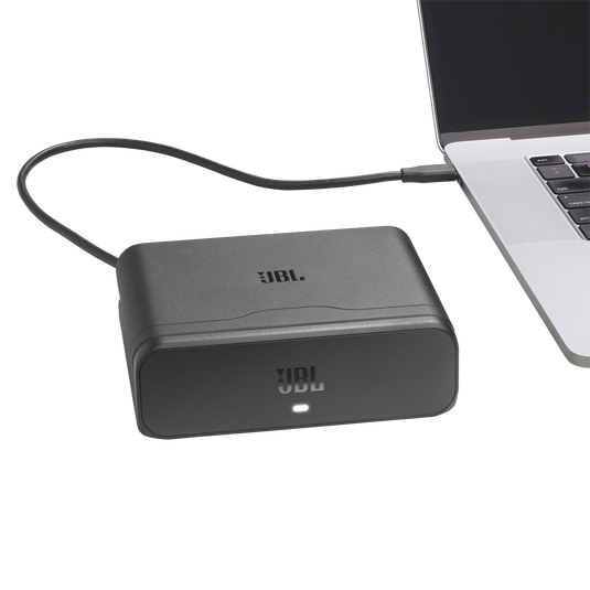 JBL Battery 600 Duo with Charging Case - Black - Two easy-to-replace spare batteries with charging case - Detailshot 1 image number null