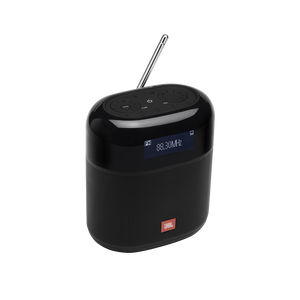 Image of JBL Tuner XL FM