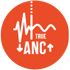 JBL Endurance Race 2 Active Noise Cancelling with Smart Ambient - Image