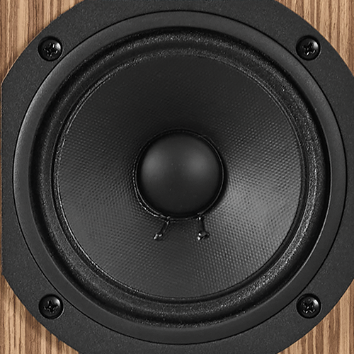 L100 Classic 80 5.25-inch (130mm) polymer-coated pure-pulp cone midrange driver - Image