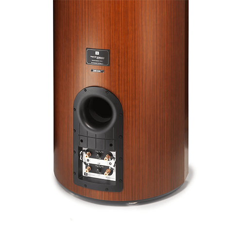 Project K2 S9900 Separate low-frequency and high-frequency rear-input terminals. - Image